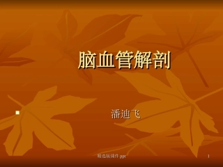 脑血管解剖图解