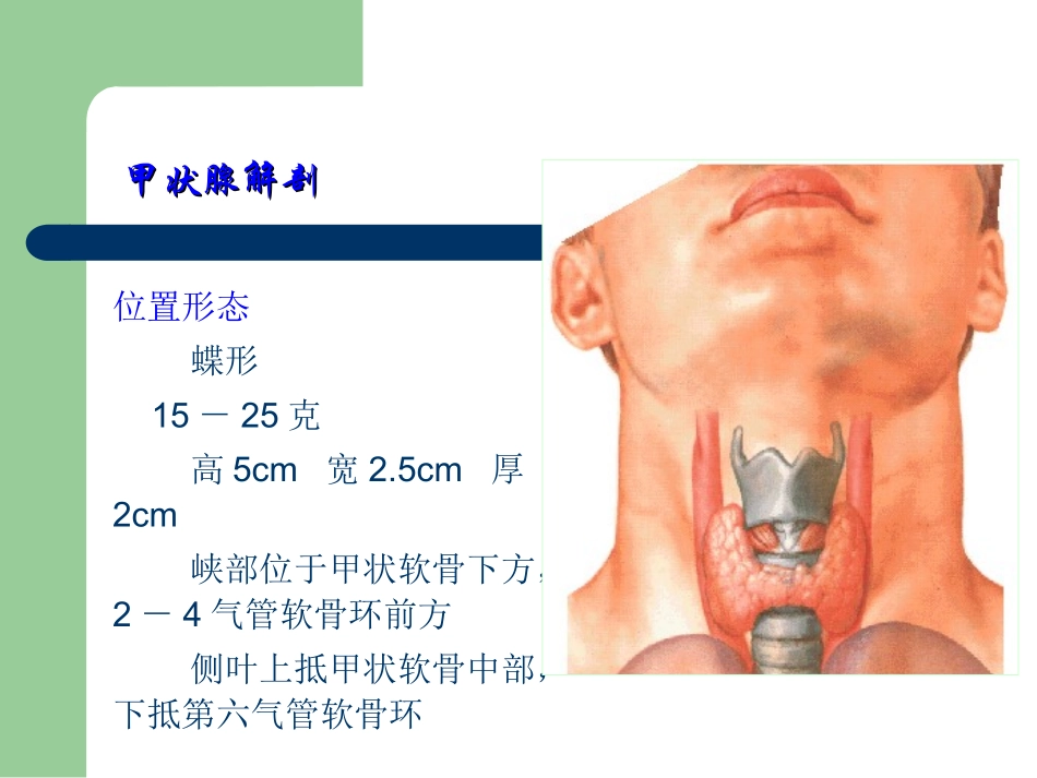 内分泌及代谢疾病_第3页
