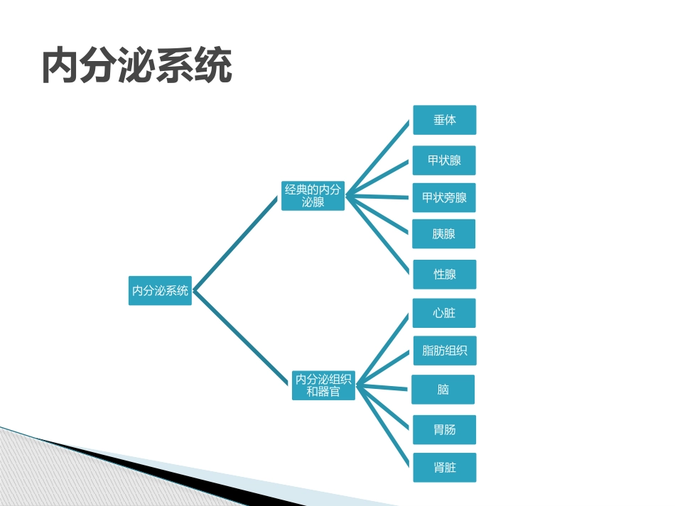 内分泌科功能试验课堂_第2页