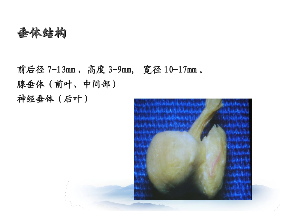 内分泌危象之垂体危象_第3页
