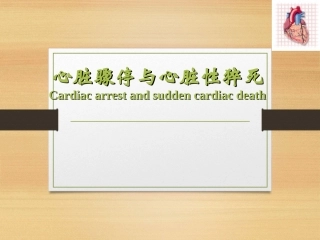 内科学心脏骤停和心脏性猝死