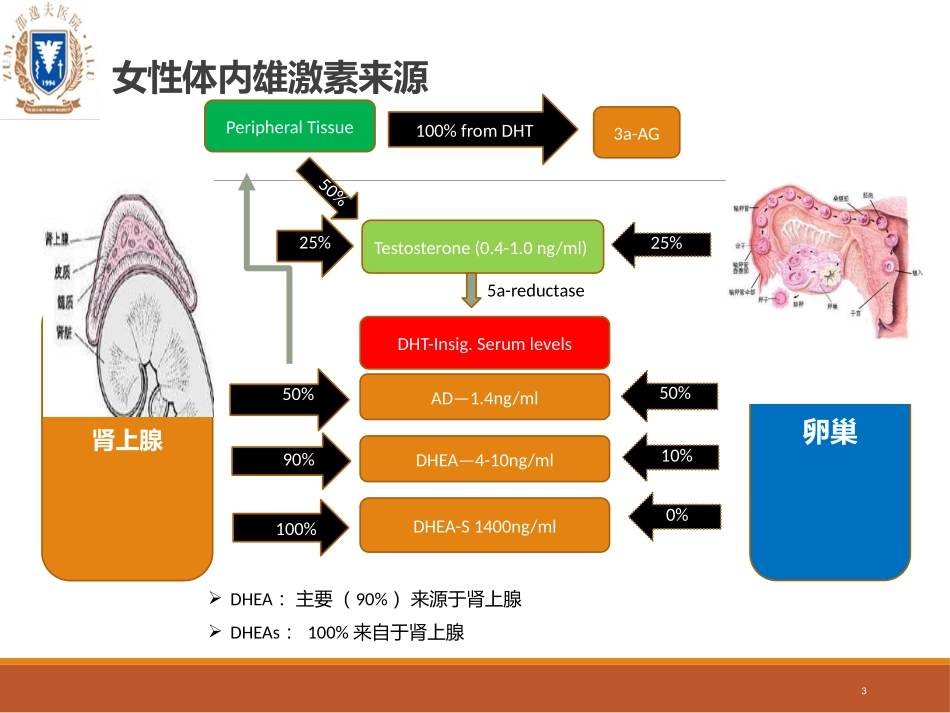 女性高雄激素诊治策略_第3页