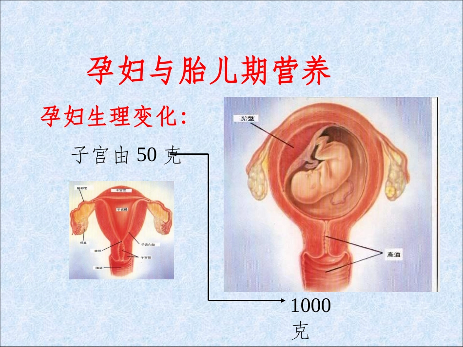 女性健康和营养_第3页