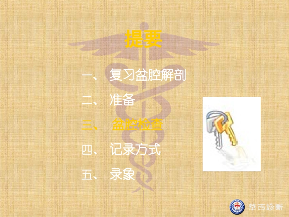 女性生殖器三合诊检查_第2页