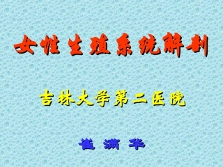 女性生殖系统解剖