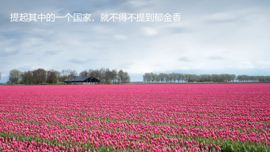 欧洲位置地形_第3页