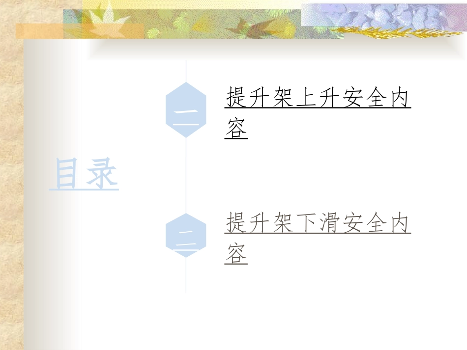 爬架安全培训_第2页