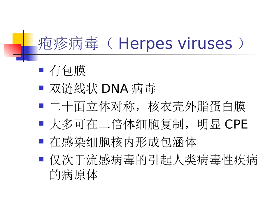 疱疹病毒课件_第3页