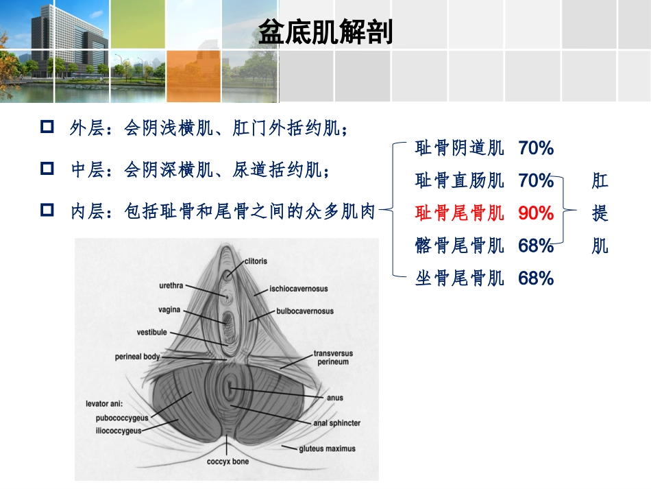 盆底肌表面肌电解读_第3页