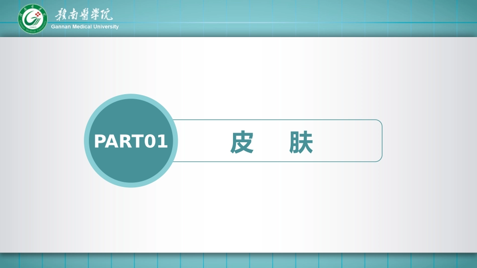 皮肤检查诊疗学_第3页