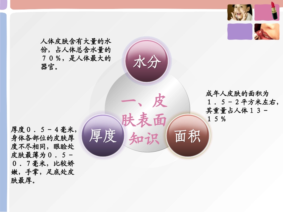 皮肤美容知识新方案_第3页