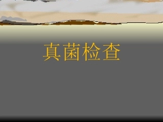 皮肤真菌检测