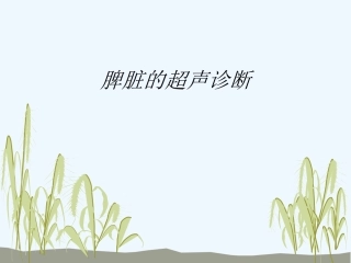 脾脏的超声诊疗