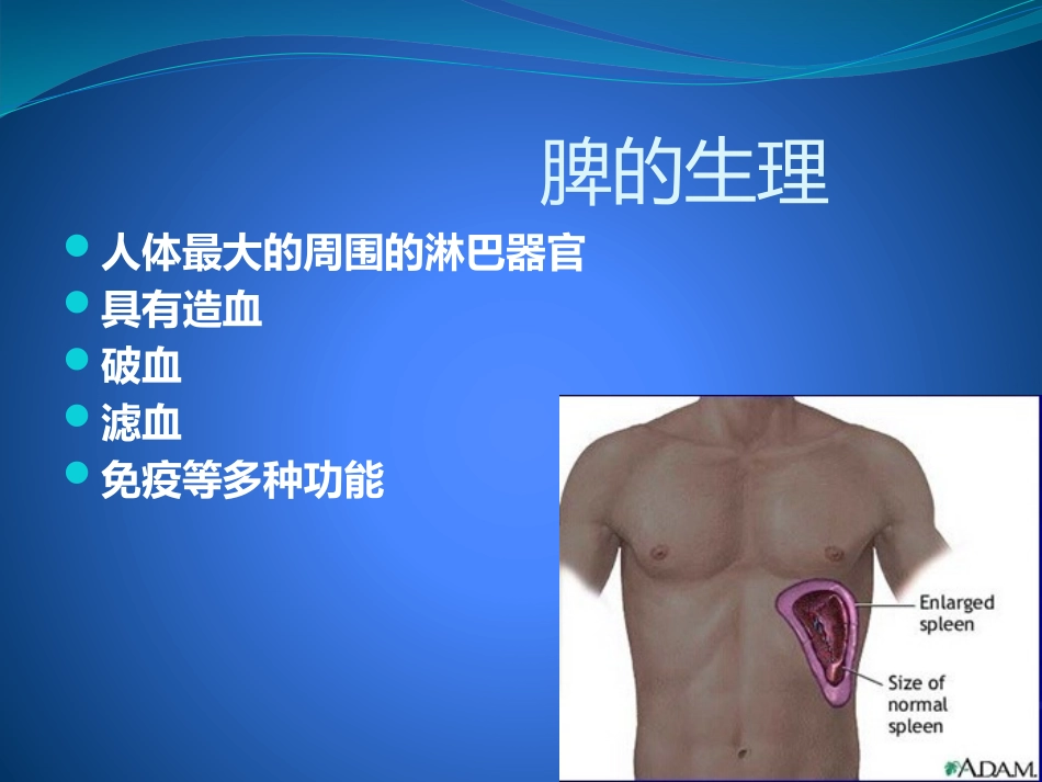 脾脏疾病的影像诊疗_第3页