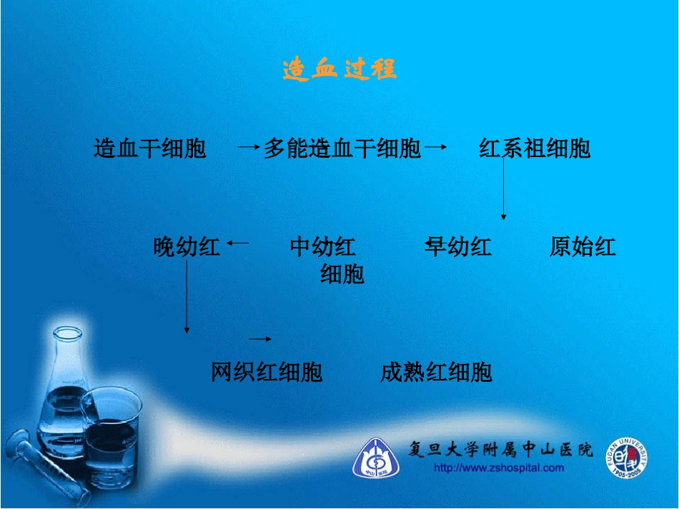 贫血的诊疗思路课件_第3页