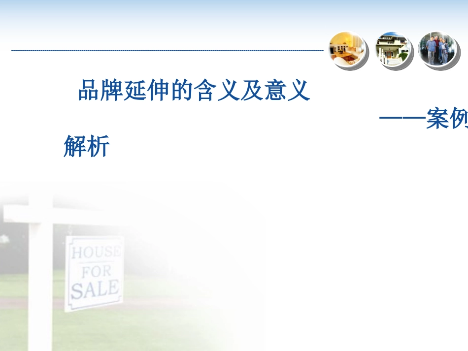 品牌延伸案例分析资料_第1页