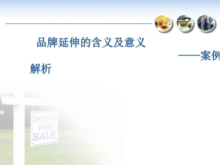 品牌延伸案例分析资料