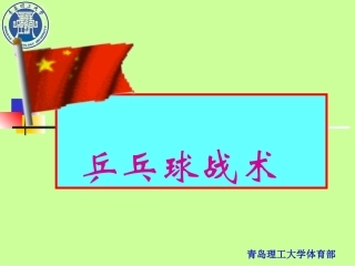 乒乓球技战术
