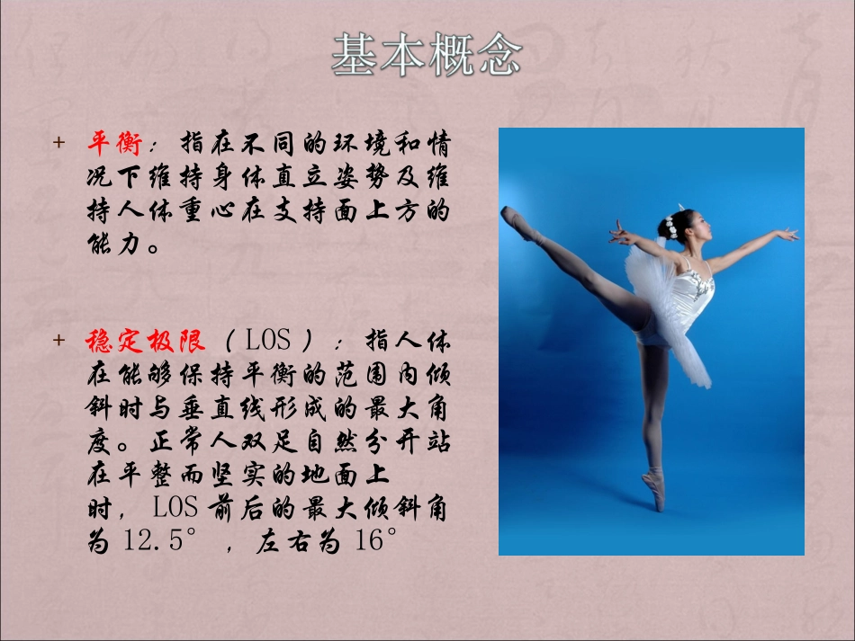 平衡功能训练_第3页