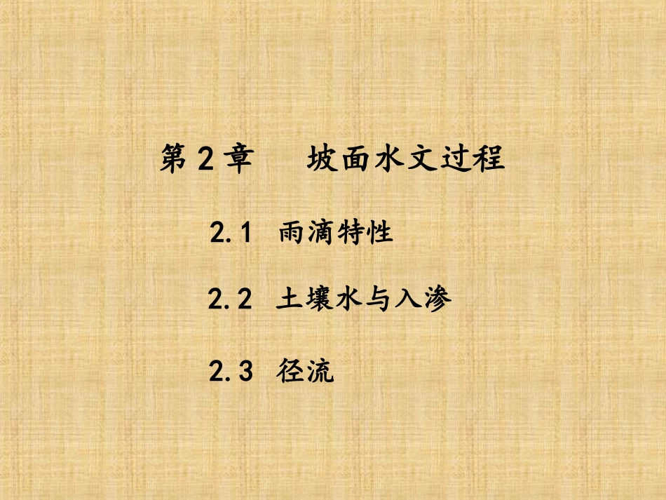 坡面水文过程_第1页