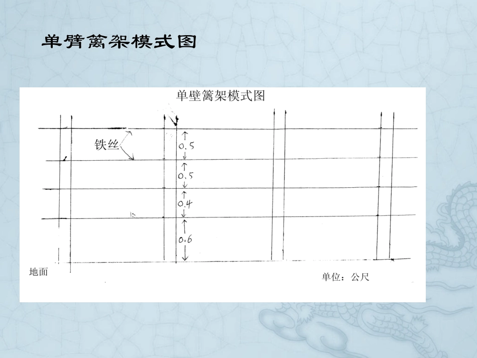 葡萄架式及整形修剪_第2页