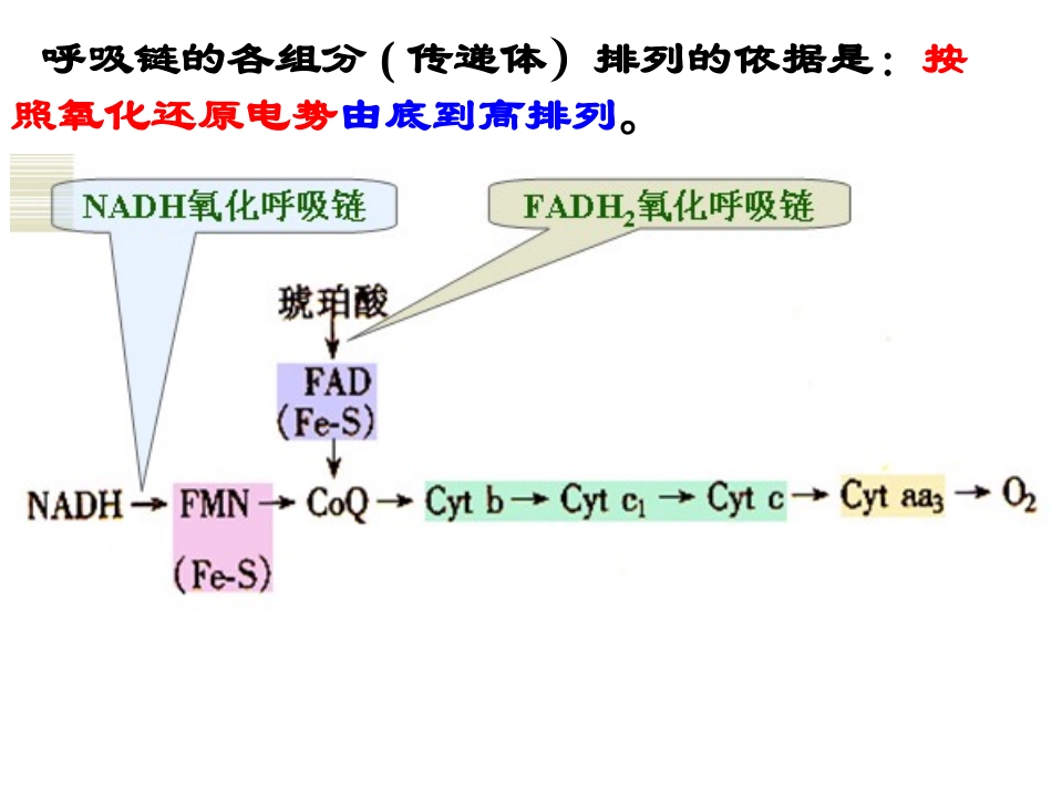 其他末端氧化酶系统_第3页