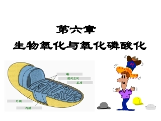 其他末端氧化酶系统