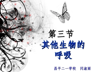 其他生物的呼吸