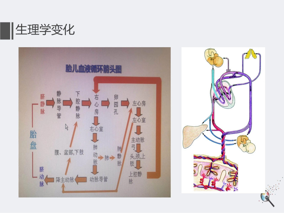 脐动脉血气应用_第3页