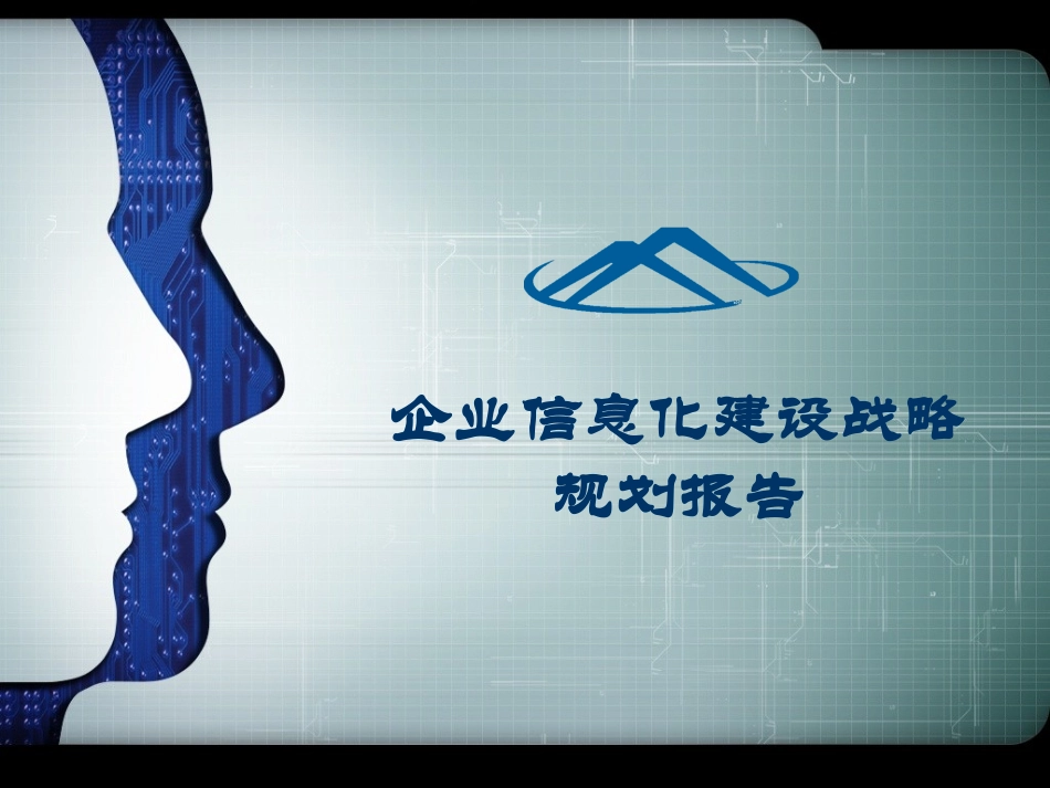 企业信息化建设战略规划报告_第1页