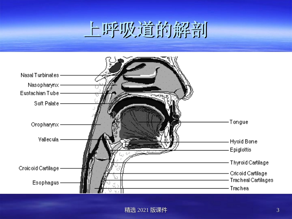 气道评估和管理_第3页