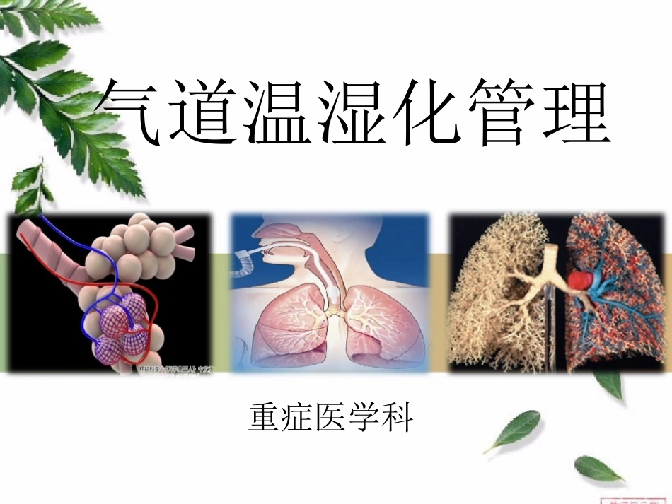 气道温湿化管理_第1页