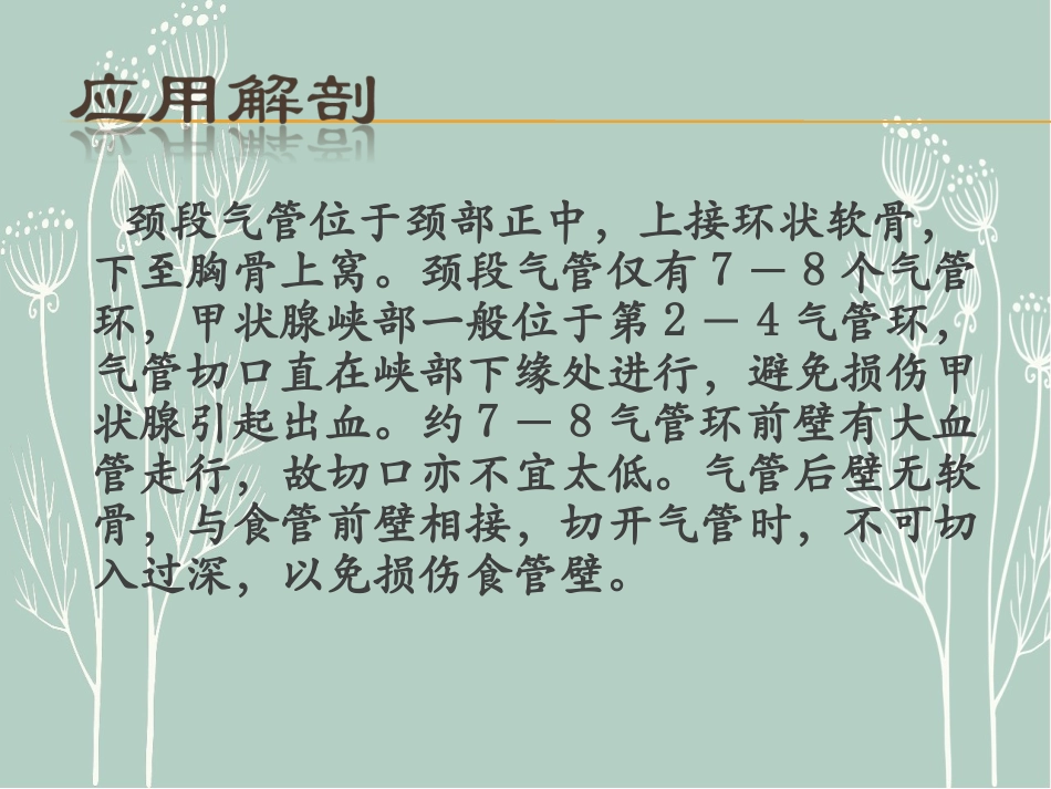 气管切开术和护理_第3页