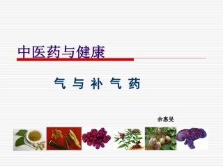 气和补气药详解