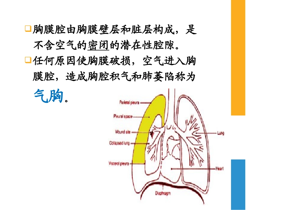 气胸纵隔气肿和肺气肿_第2页