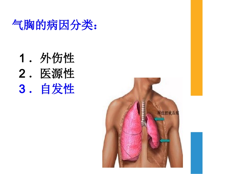 气胸纵隔气肿和肺气肿_第3页