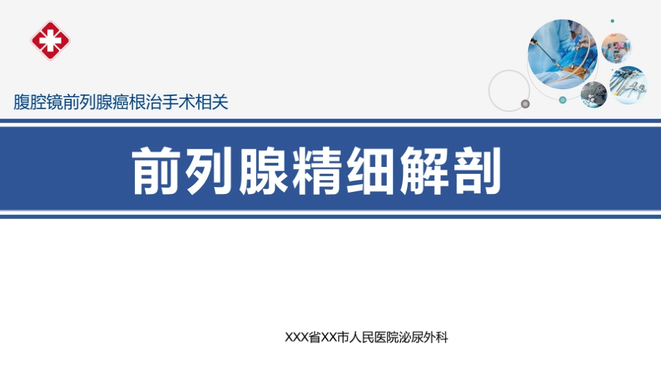 前列腺精细解剖_第1页