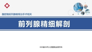 前列腺精细解剖