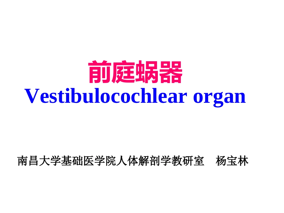 前庭蜗器分析_第1页