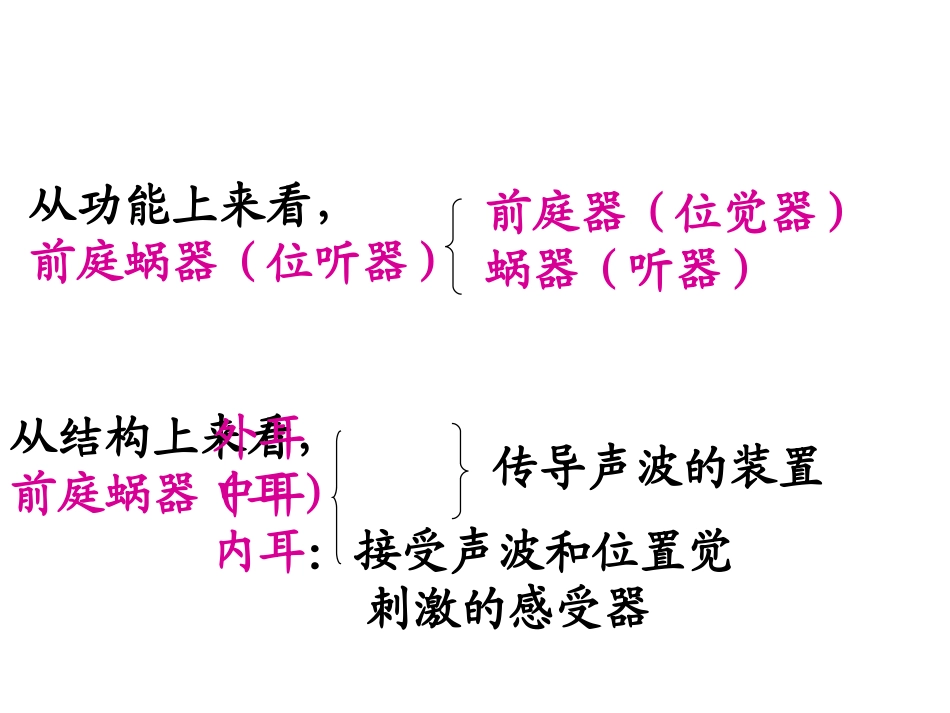 前庭蜗器分析_第2页