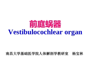 前庭蜗器分析