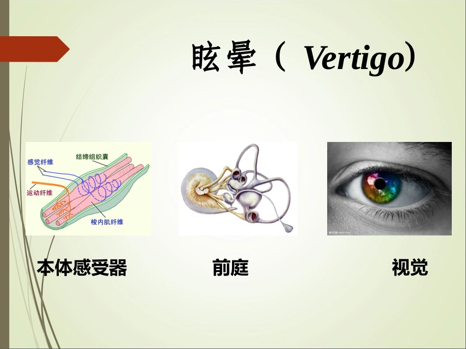 前庭系统眩晕_第3页