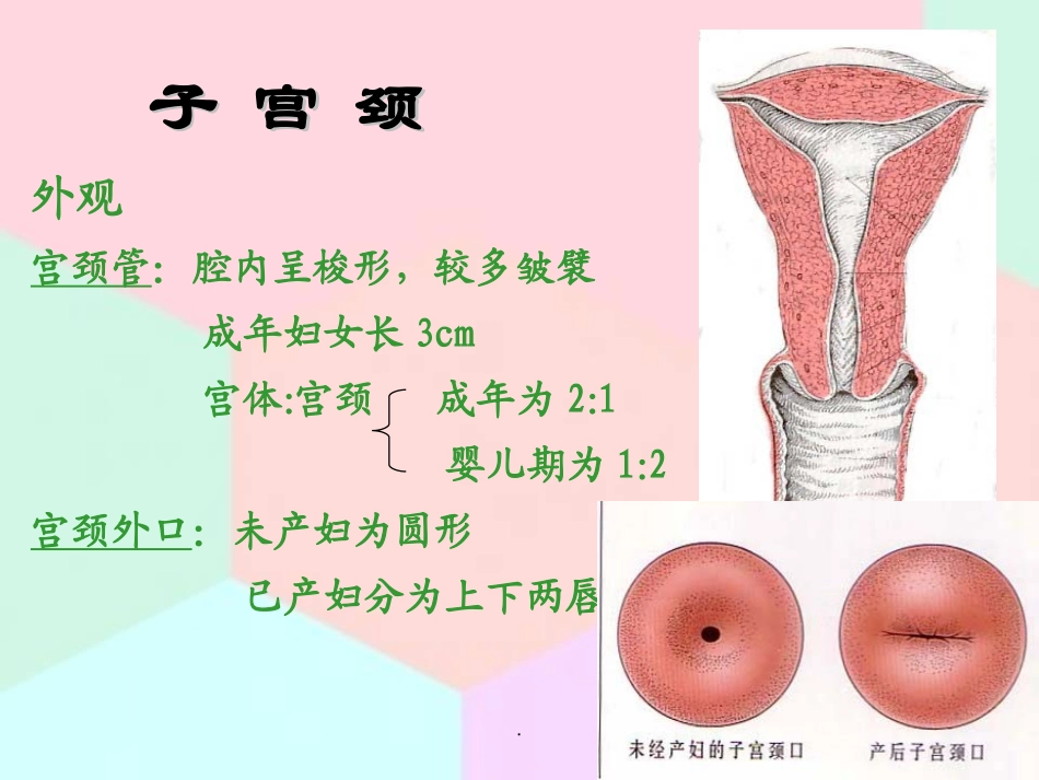 前置胎盘妇产科护士培训演示课件_第2页