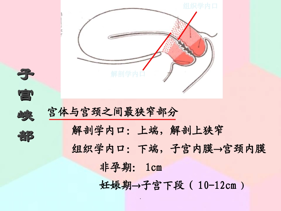 前置胎盘妇产科护士培训演示课件_第3页