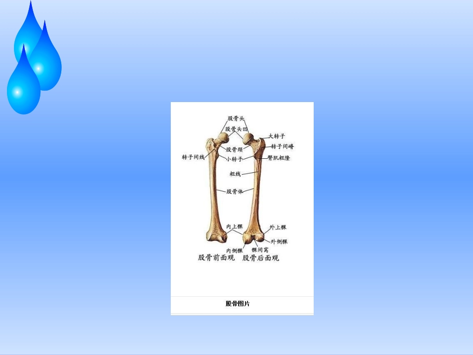 浅谈股骨头缺血性坏死护理查房_第3页