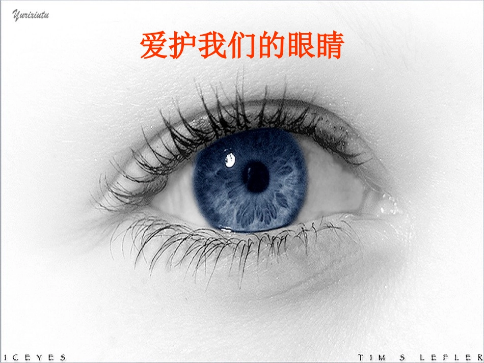 青少年用眼健康知识讲座课件_第2页