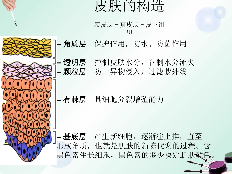 秋化节皮肤保养_第3页