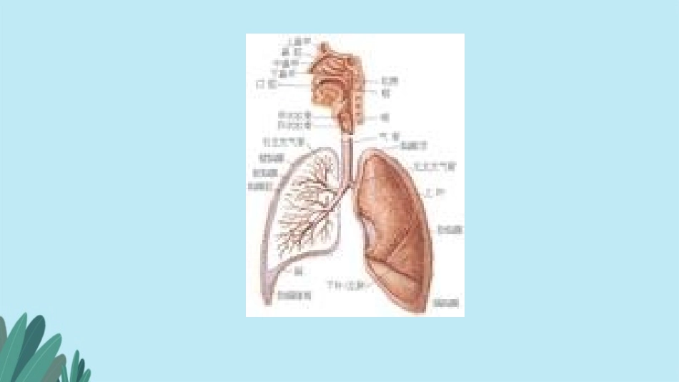 秋季常见传染病_第3页