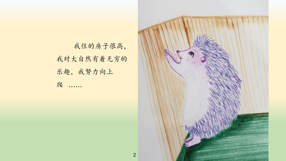 球球和妞妞的故事_第3页