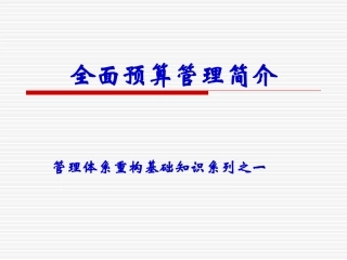 全面预算管理简介
